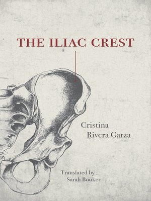 cover image of The Iliac Crest
